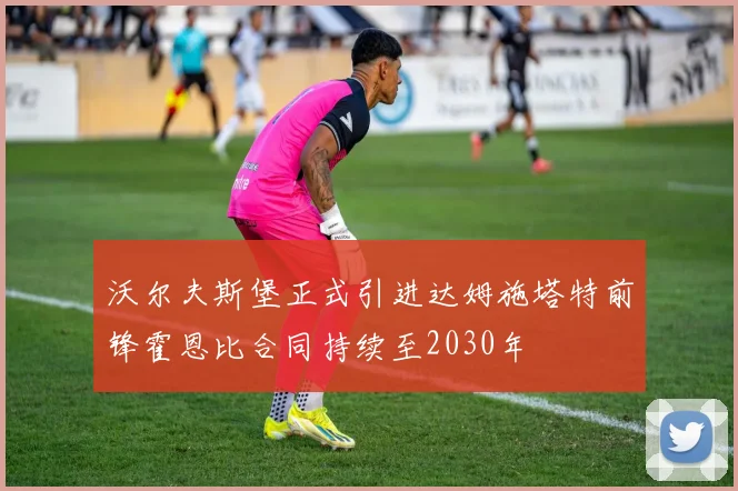 沃尔夫斯堡正式引进达姆施塔特前锋霍恩比合同持续至2030年